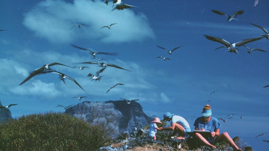 A flock of sooty terns fly over local Chris Murray, his wife and young daughter at North Head, Lord Howe Island.