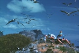 A flock of sooty terns fly over local Chris Murray, his wife and young daughter at North Head, Lord Howe Island.