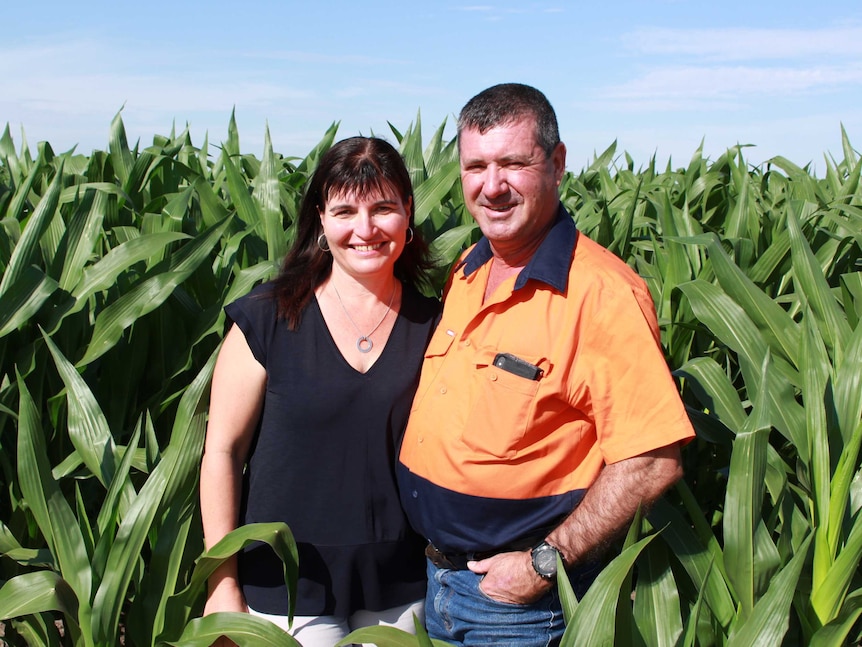 A man and a woman stand in front of their maize crop, where usually they would grown rice