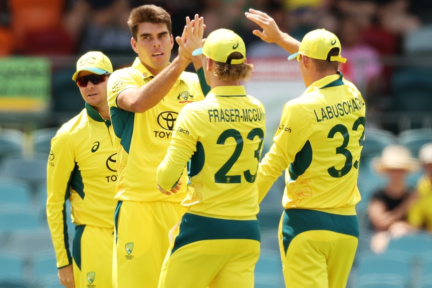 Four Australian players celebrate a wicket in an men's ODI against West Indies.