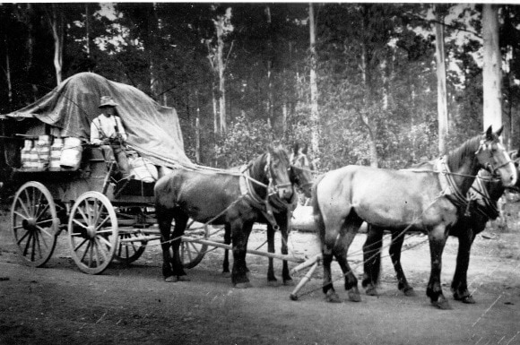 Hauling supplies in Comboyne