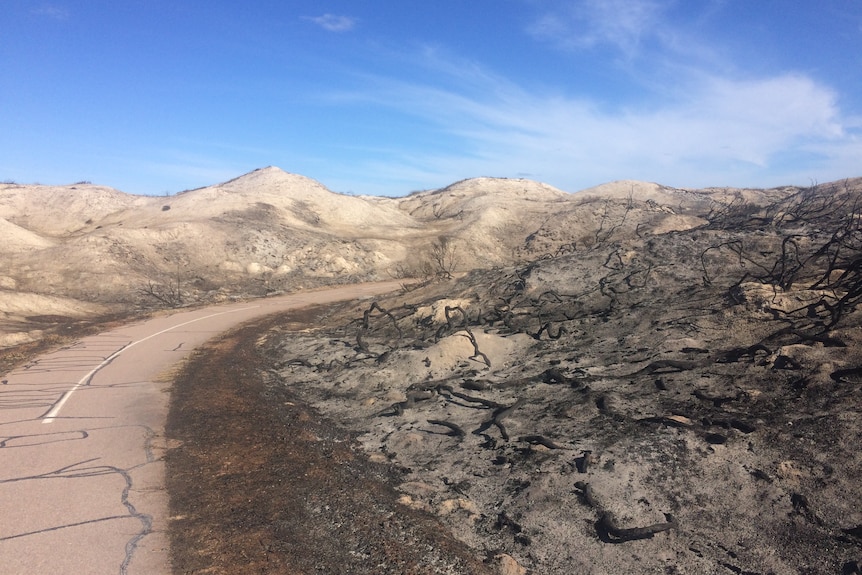 A footpath with bare scorched dunes on the left and burned branches on the right
