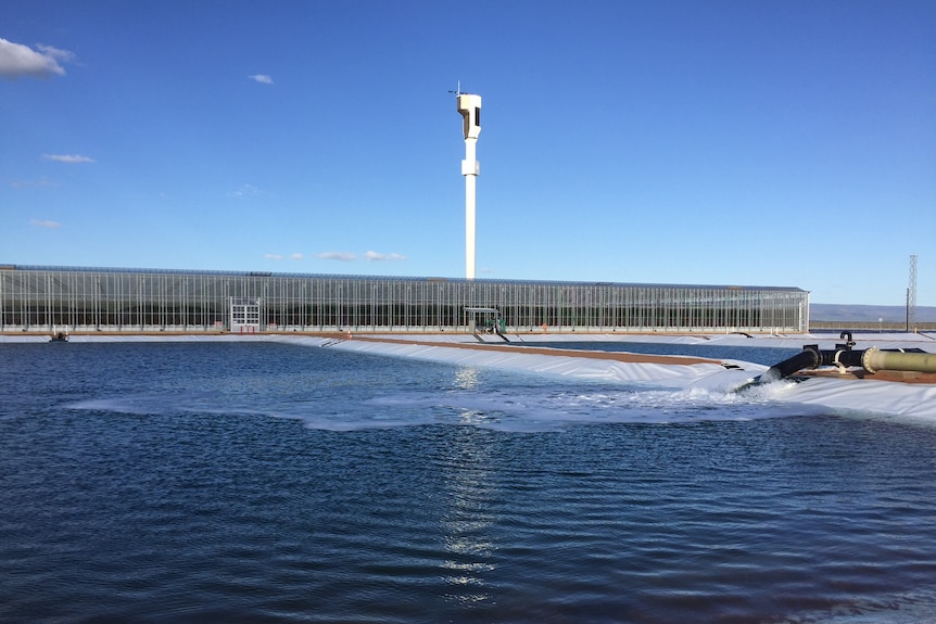 A saltwater pond at Sundrop Farms.