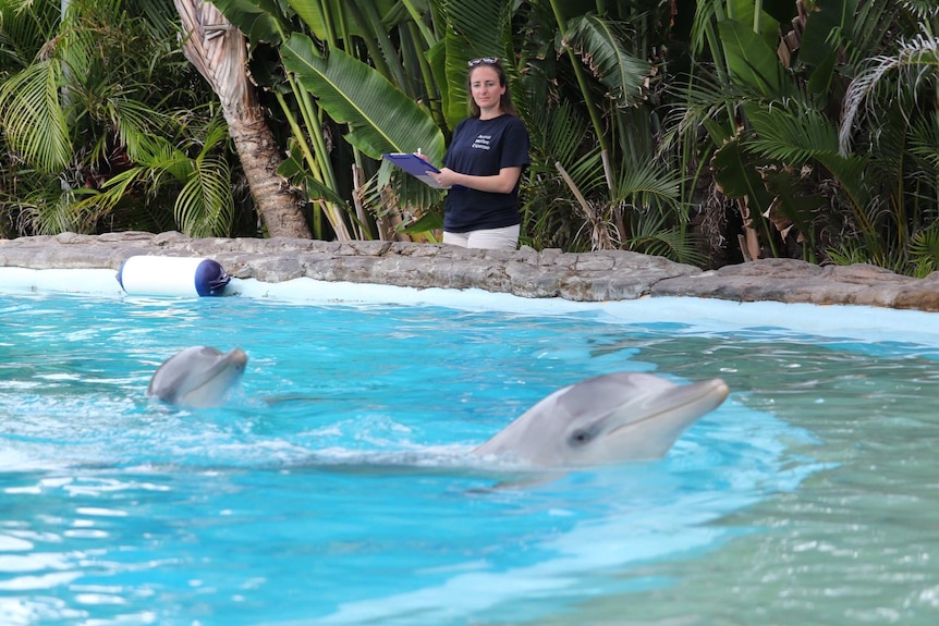 A woman holding a clipboard stands next to a pool with two dolphins swimming in it.