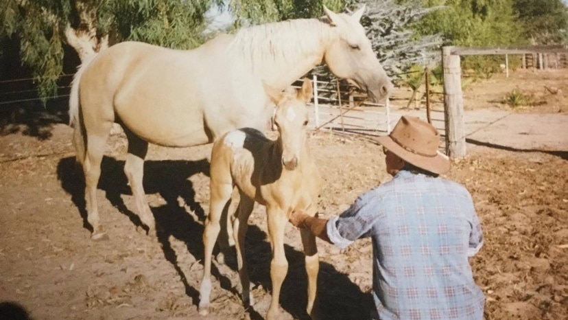 A man crouches on the ground patting a foal as its mother stands nearby.