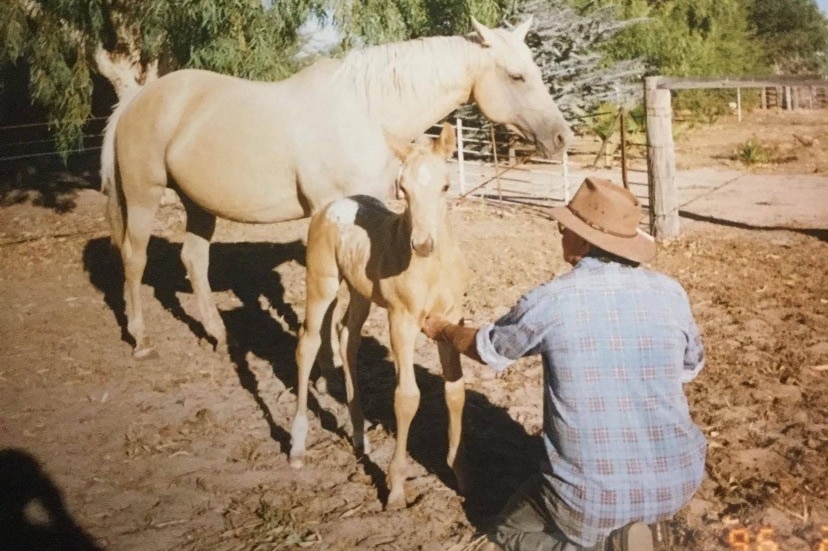 A man crouches on the ground patting a foal as its mother stands nearby.