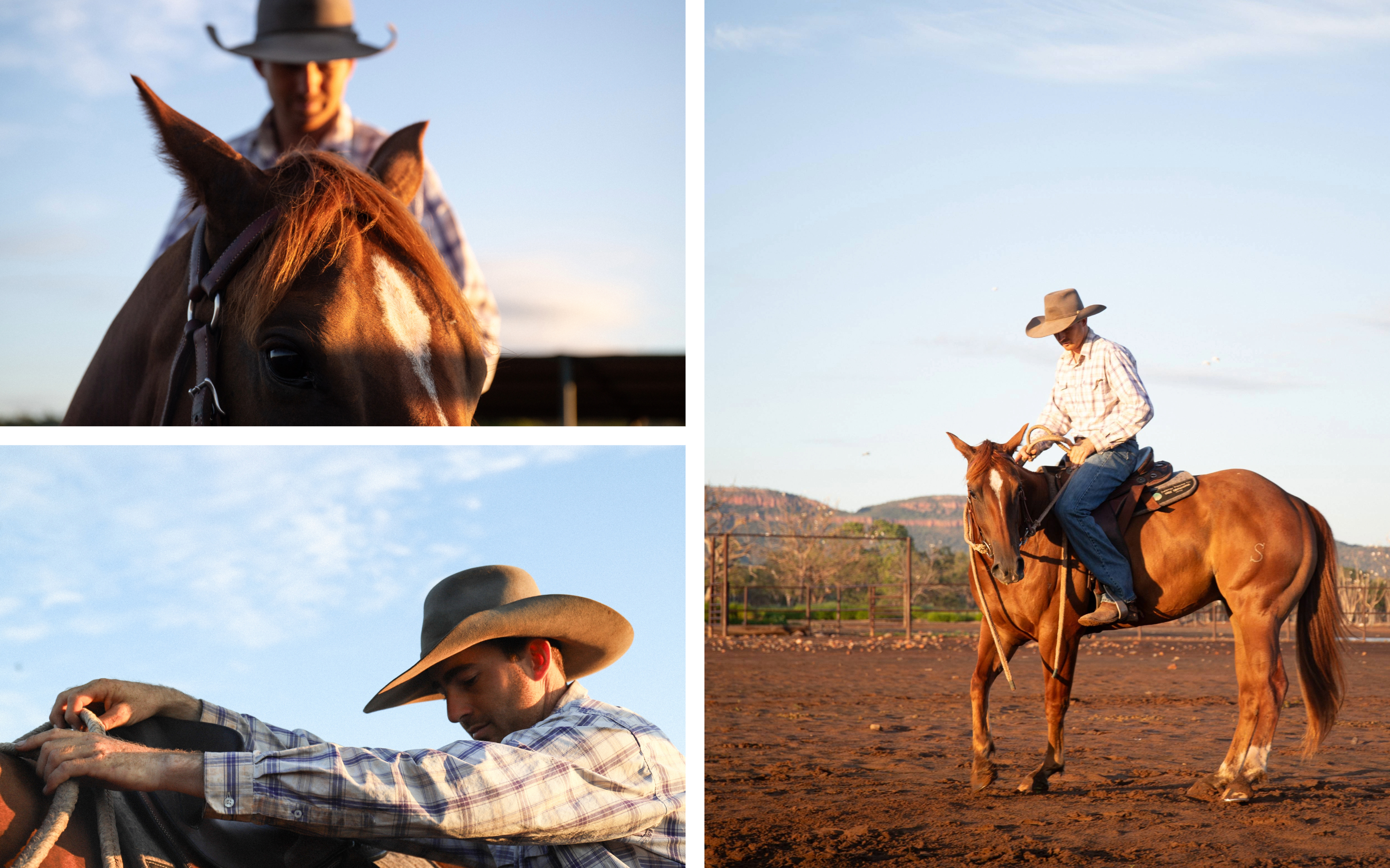 A collage of a man with horses.