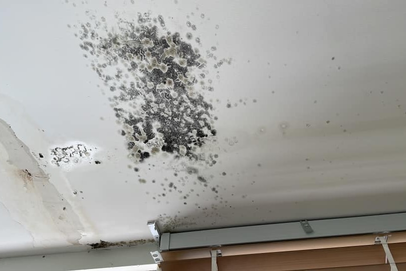Black mould on a ceiling
