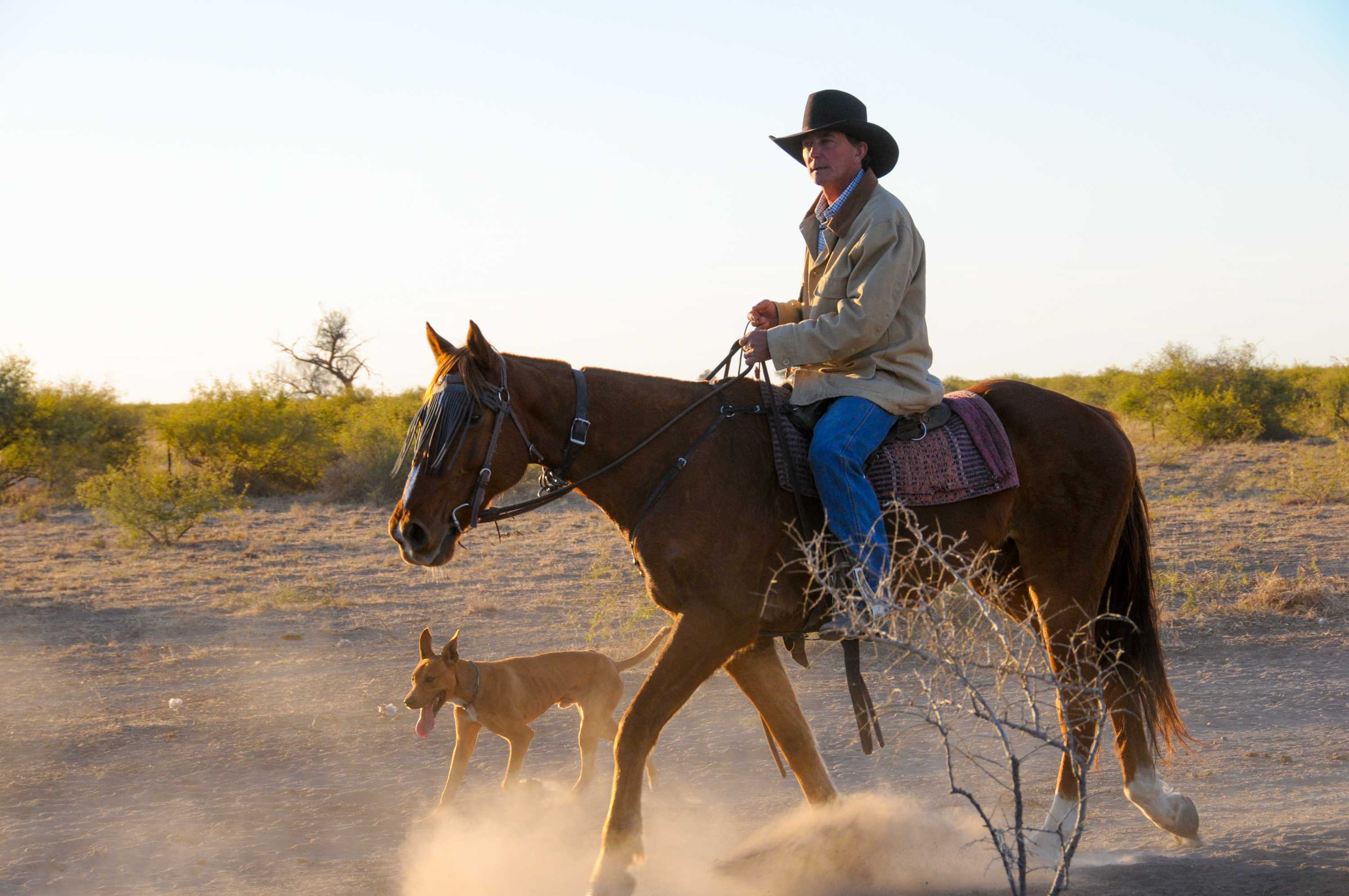 Cattle drover Brad Brazier rides his horse with his dog by his side.
