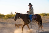 Cattle drover Brad Brazier rides his horse with his dog by his side.