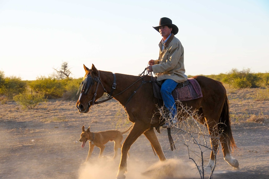 Cattle drover Brad Brazier rides his horse with his dog by his side.