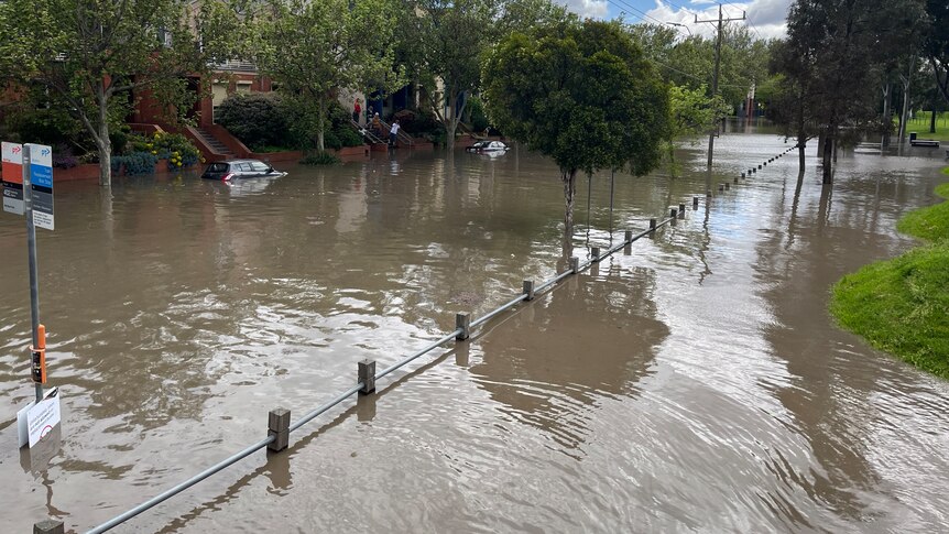 Water reaches three-quarters of the way up parked cars on a street in inner-Melbourne.