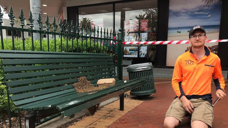 A man in a fluoro orange shirt kneels near a bench with a swarm of 30,000 beest resting on it.