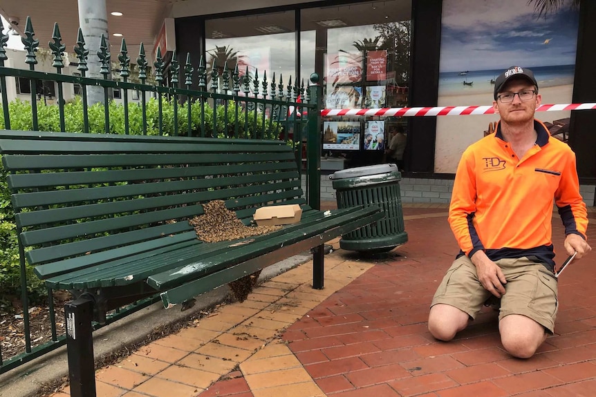 A man in a fluoro orange shirt kneels near a bench with a swarm of 30,000 bees resting on it.