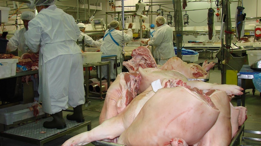 BE Campbell's pork processing site at Wetherill Park, Sydney. Processing Pork