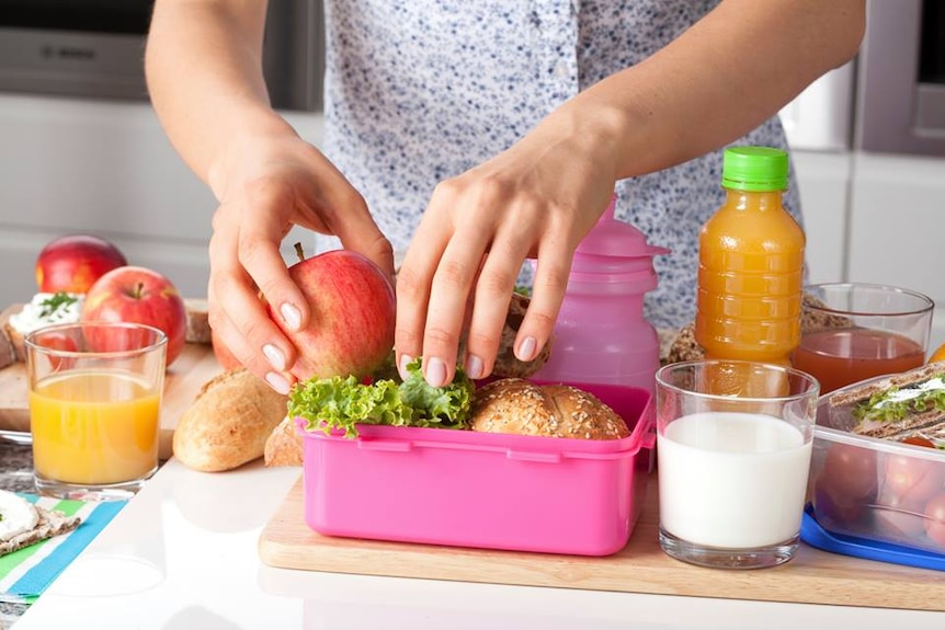 Generic female hands packing school lunch