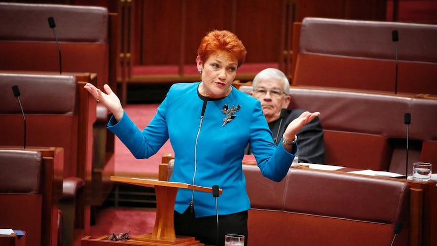 Cassidy: Hanson's One Nation will be short-lived without democratic rule