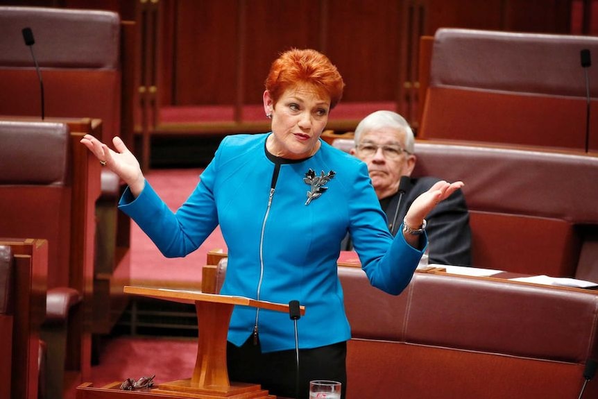 Cassidy: Hanson's One Nation will be short-lived without democratic rule