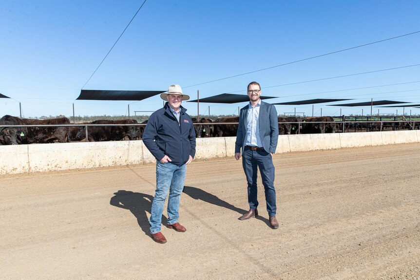 Two men standing in front of a cattle feedlot