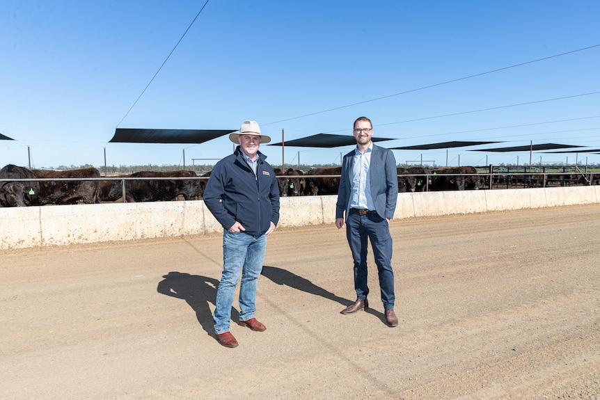 Two men standing in front of a cattle feedlot