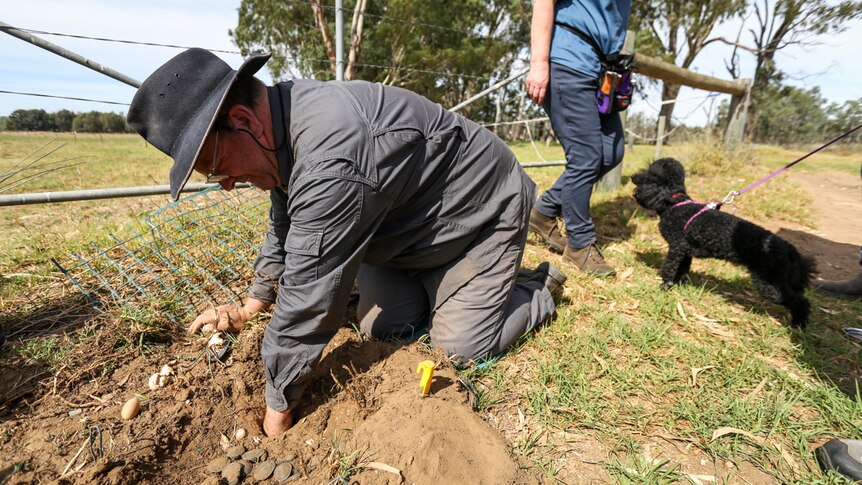 A man in grey overalls on the ground digging with his hands