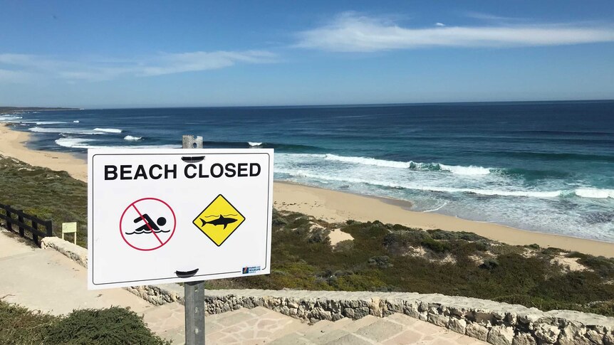 A sign reading 'BEACH CLOSED' in front of Cobblestones surfing spot near Gracetown, with waves rolling onto the beach.