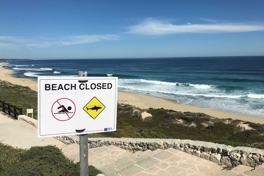 A sign reading 'BEACH CLOSED' in front of Cobblestones surfing spot near Gracetown, with waves rolling onto the beach.