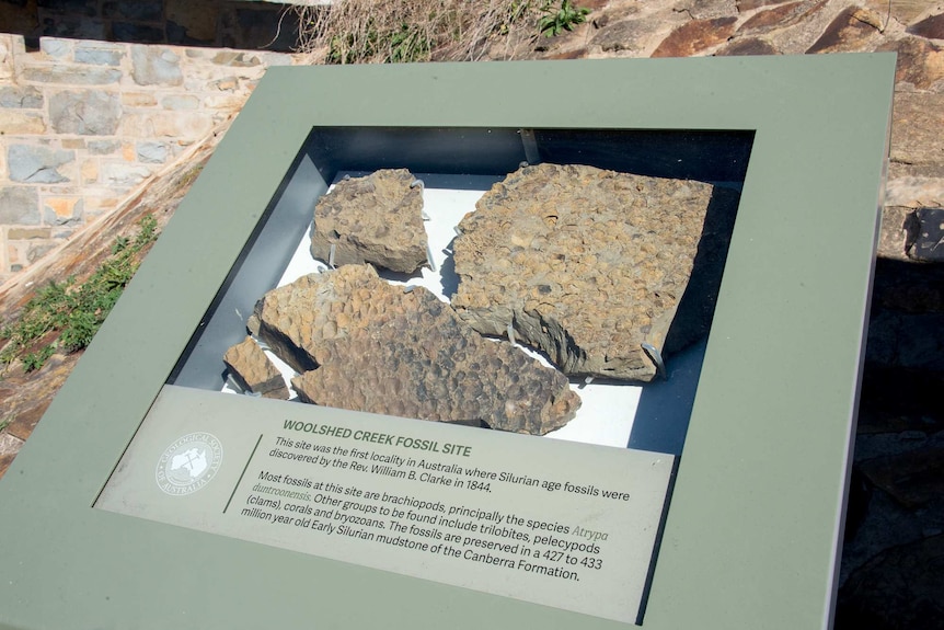 Fossils on display at Woolshed Creek