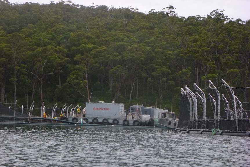 Tassal salmon farm cages at Long Bay, Tasmania