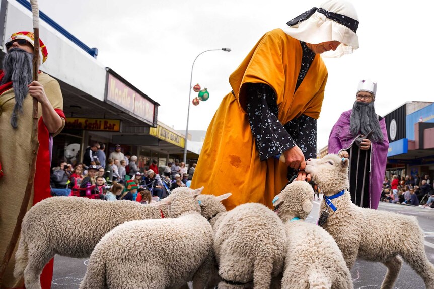 Shepherds in costume stand around a flock of lambs on a built up street lined with people.