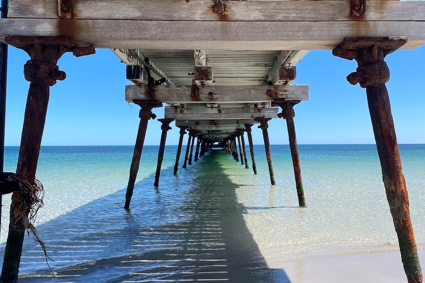 A portrait shot of the underside of a wood and metal jetty out to a blue sea. 