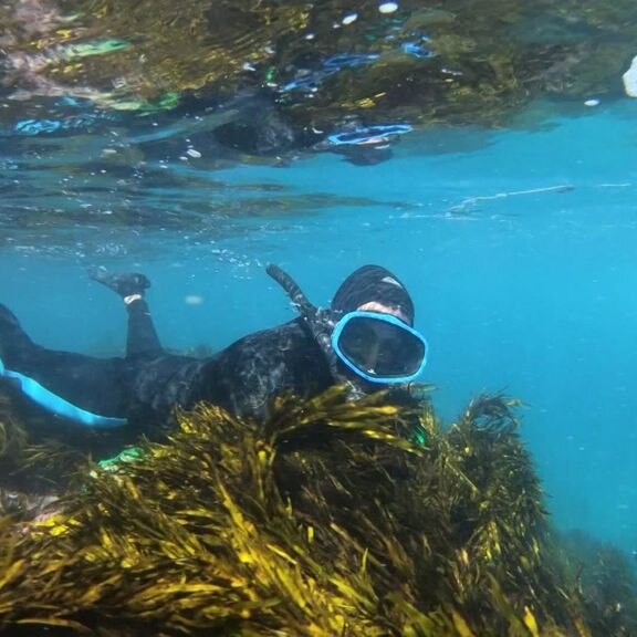 A snorkeller underwater in a wetsuit diving among seagrass.