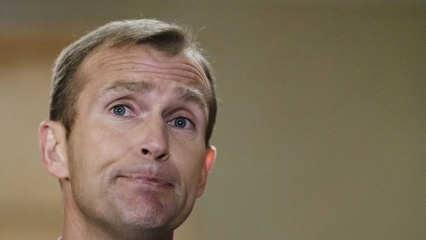 Planning Minister Rob Stokes.