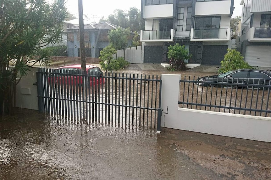 Cars became inundated at Latimer Street in the Brisbane suburb of Holland Park.