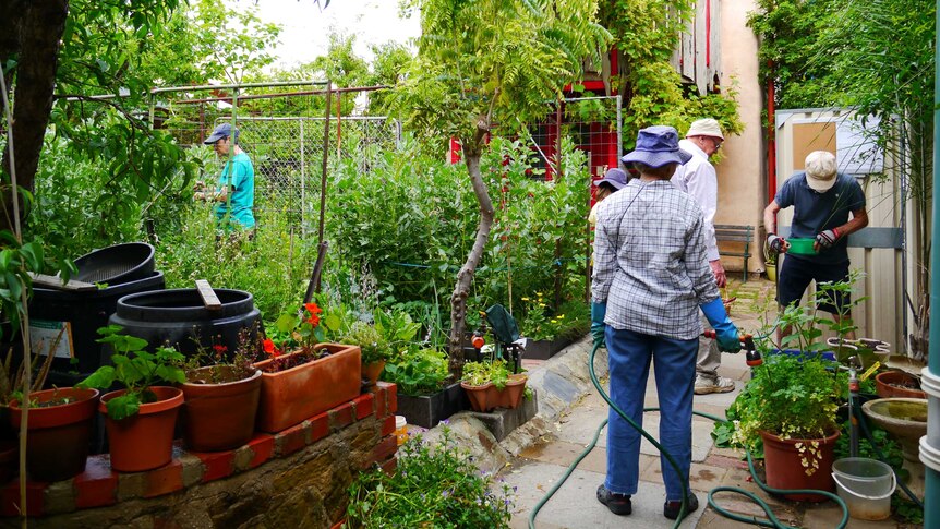 People tend to plants in a lush garden.