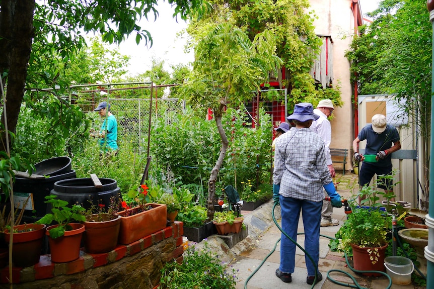 People tend to plants in a lush garden.