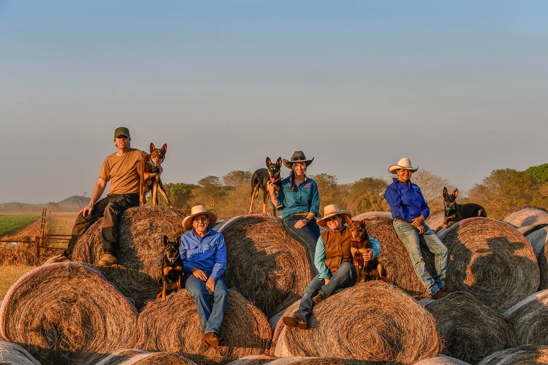The cast with dogs from the show Muster Dogs, all sitting on hay bales