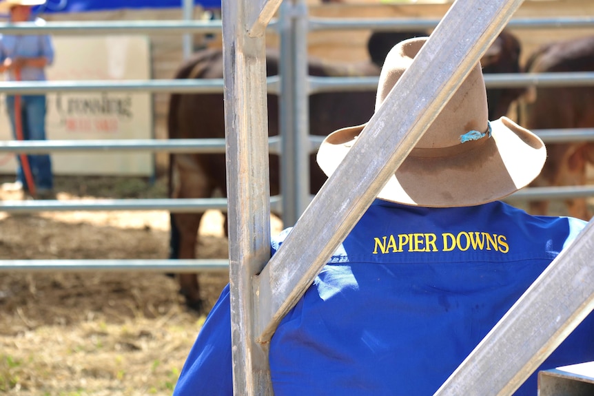 Back of man wearing a blue shirt and cowboy hat