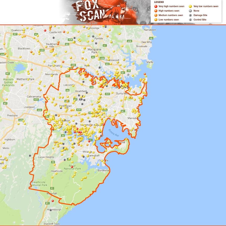 Fox Scan map of southern Sydney