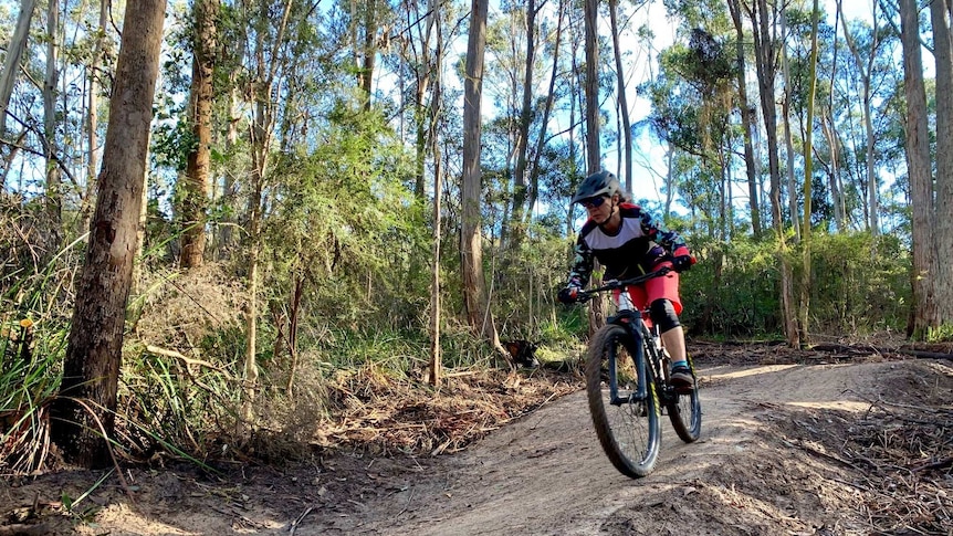 Bike rider on bush track.