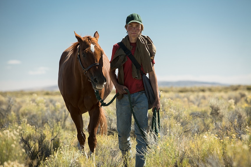 Colour still of Charlie Plummer with quarter horse in sunny countryside looking to camera in 2018 film Lean on Pete.