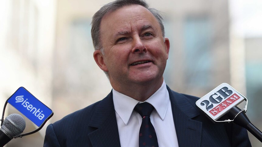 Anthony Albanese speaking to the media.