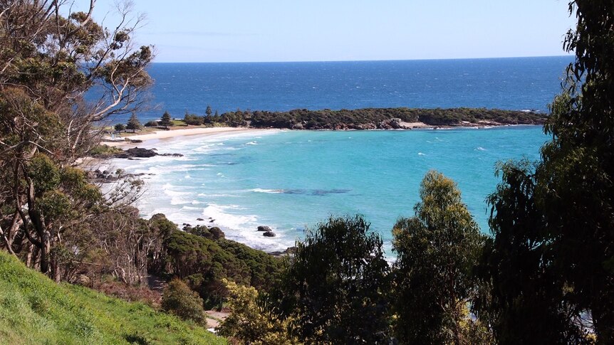 Light blue water at a beach with trees in foreground.