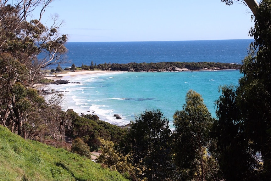 Light blue water at a beach with trees in foreground.