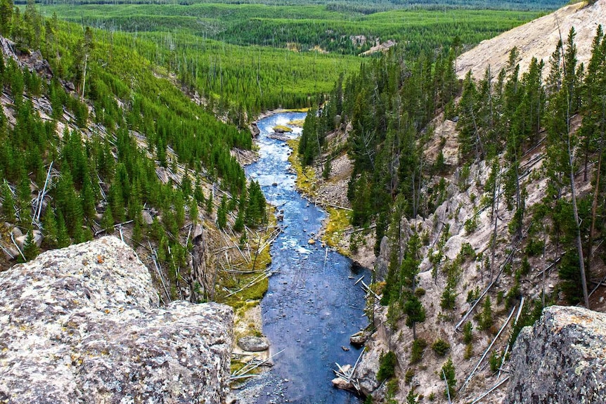 A river with pine hills on either side