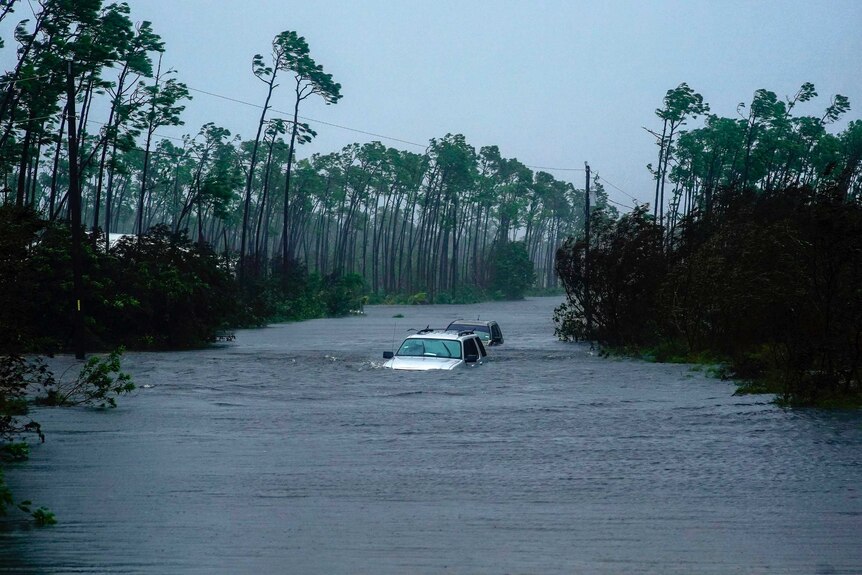 Cars sit submerged in water from Hurricane Dorian in Freeport, Bahamas.