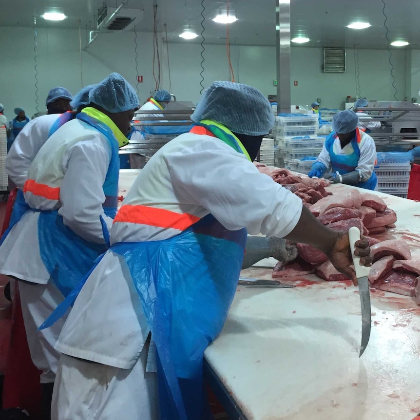 Meat workers wearing cloth hats cut beef and pork