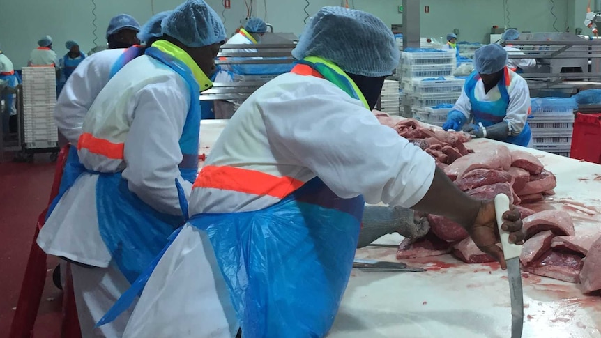 Meat workers wearing cloth hats cut beef and pork