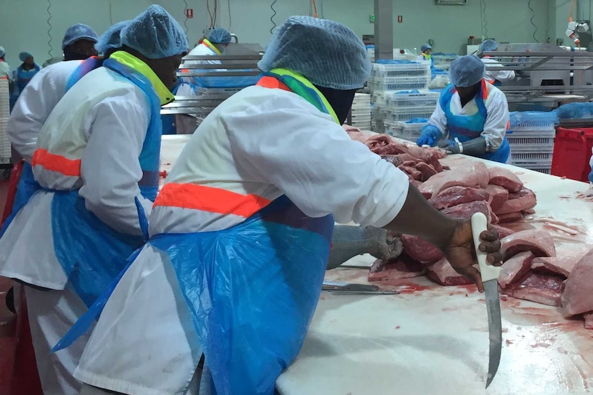 Meat workers wearing cloth hats cut beef and pork