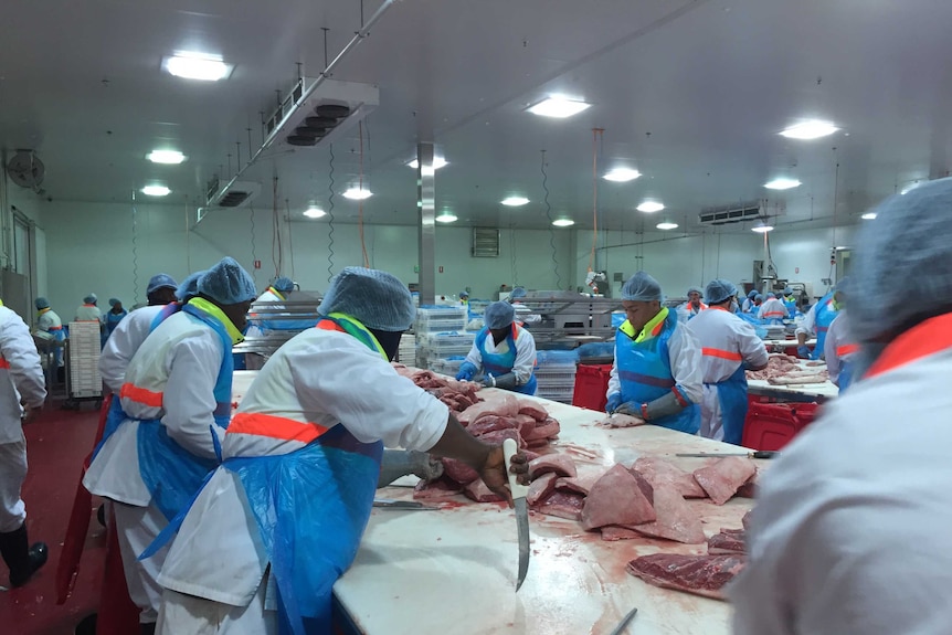 Meat workers wearing cloth hats cut beef and pork at Andrews Meat Industries Lidcombe in Western Sydney